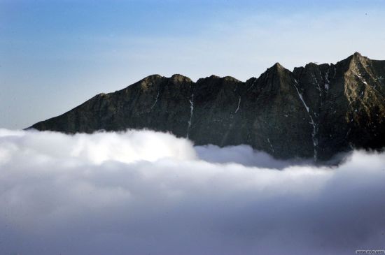 ţ��������ɭ�ֹ�԰